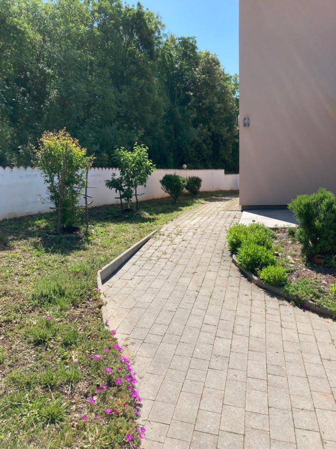Villa Dijana Viskovići Exterior foto